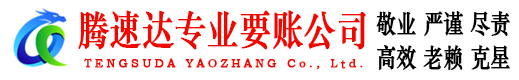临泉清债公司